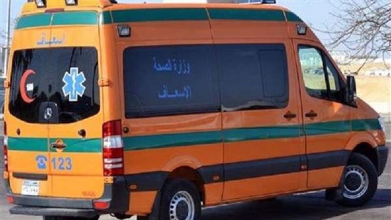 ارشيفية