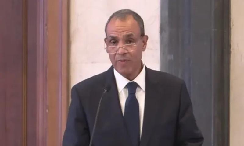 وزير الخارجية بدر عبد العاطي