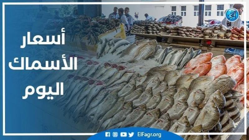 الرأي العام