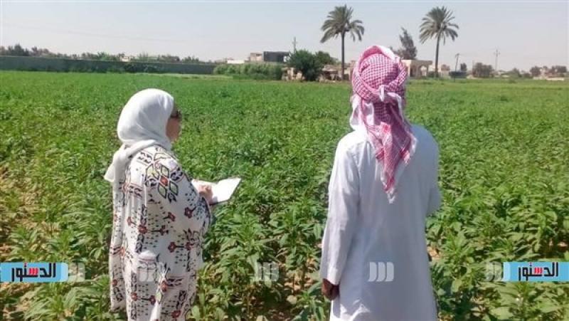 جانب من الزيارات الميدانية