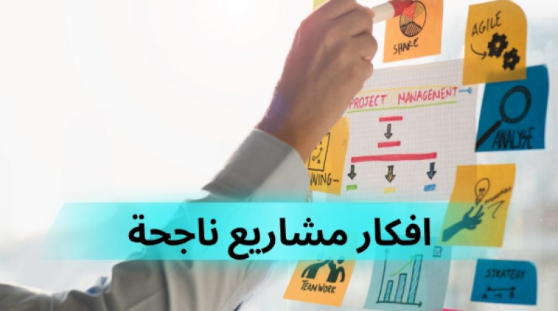 الرأي العام