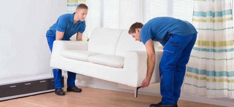 الرأي العام