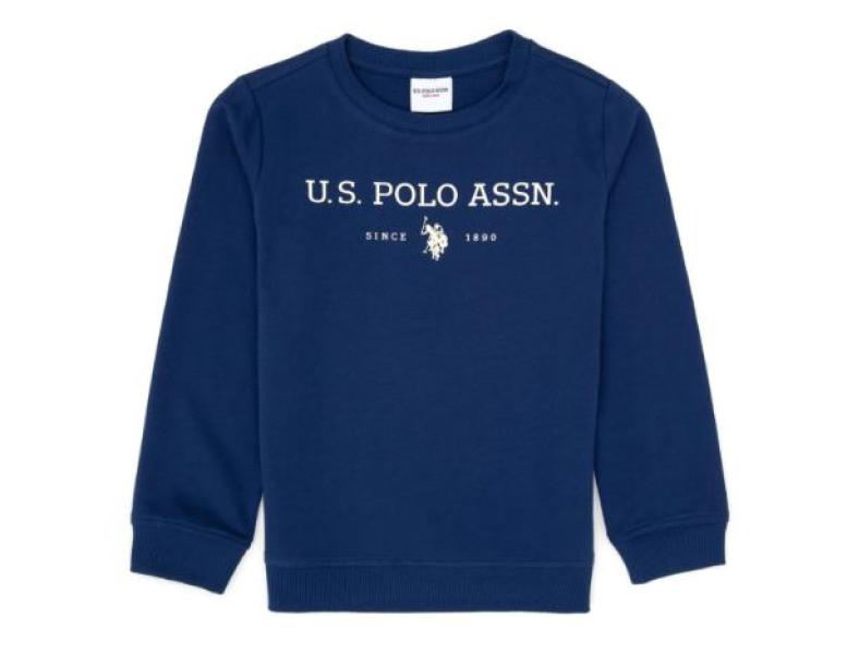 الرأي العام