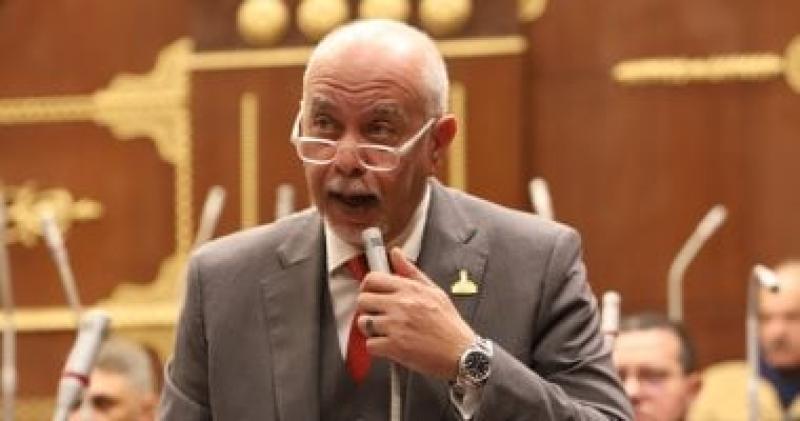 المهندس حازم الجندي، عضو مجلس الشيوخ