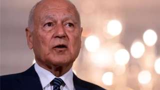 أبو الغيط يناقش مع وزيرة خارجية أيرلندا التطورات الإقليمية في غزة