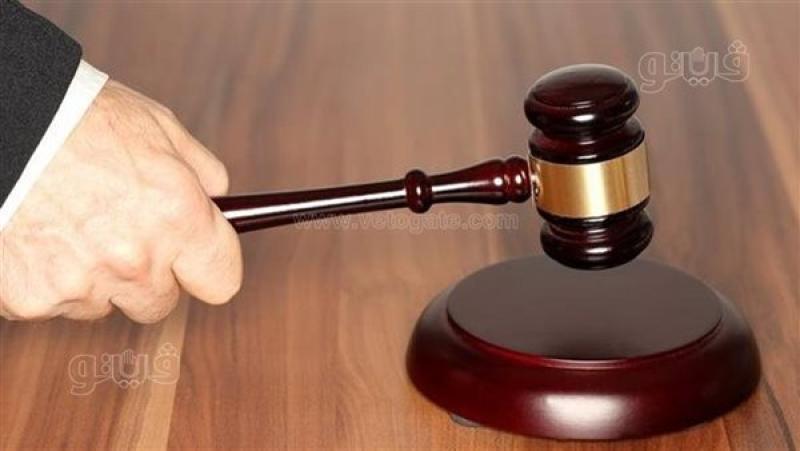 الحكم بالسجن على ربة منزل،فيتو