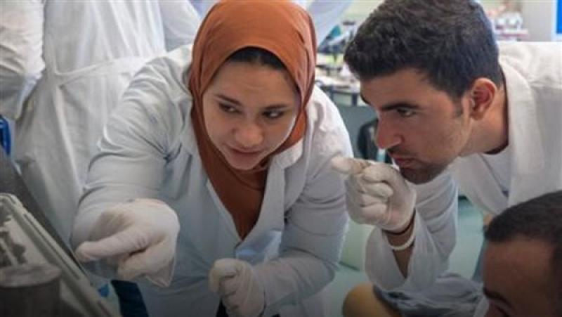 الرأي العام